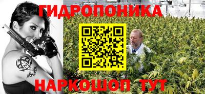 прущие грибы Комсомольск-на-Амуре