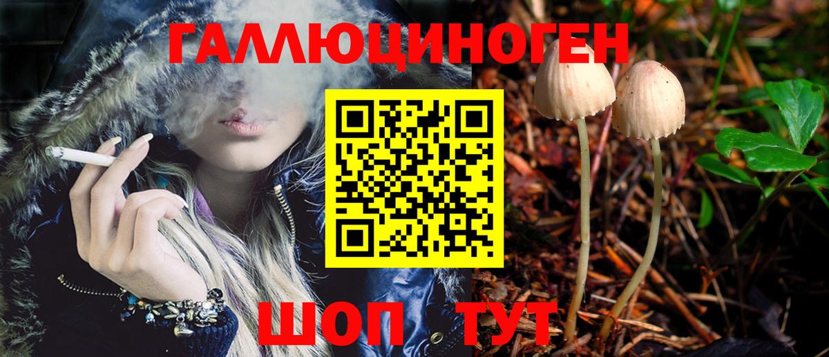 Гай  Псилоцибиновые грибы Psilocybe  Вход с VPN  Галлюциногенные грибы ЛСД 